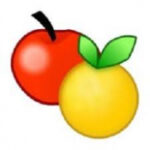 ExamDiff-Pro-Master220-220